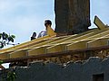 2-Rnovation_2402.JPG