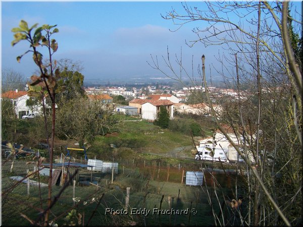 8-0-Intgration_paysage_4548.JPG
