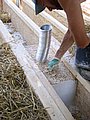 4-Isolation_Paille_3061.JPG