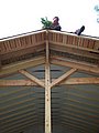 5-Livraison_Chantier_3081.JPG