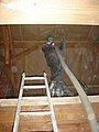 3-2_Isolation_8211.jpg