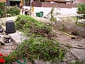 2_Prparation_espace_1524.JPG