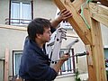 6_Levage_1591.JPG
