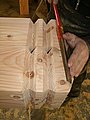 1-1_Taille_0281.JPG
