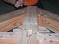 1-1_Taille_7763.JPG