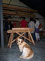 Retour_experience_5540.JPG